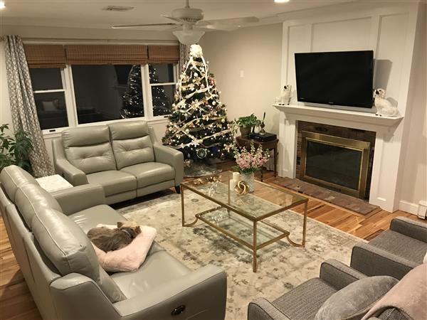 Madox Modern Classic Antique Gold Leaf Glass Rectangular Coffee Table Image 1