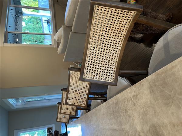 Tina Modern Cream Performance Upholstered Woven Cane Black Wood Counter Stool Image 1