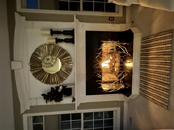 Giana Hollywood Gold Branches Fireplace Screen Image 1